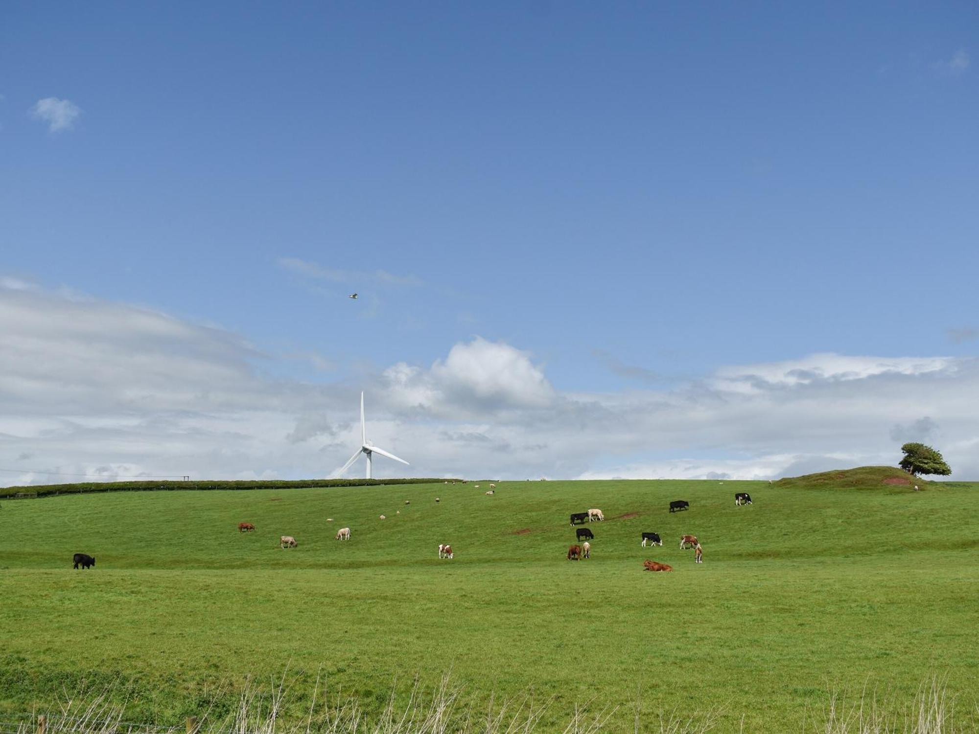 Pine Lodge - Uk30007 Lindal in Furness ภายนอก รูปภาพ
