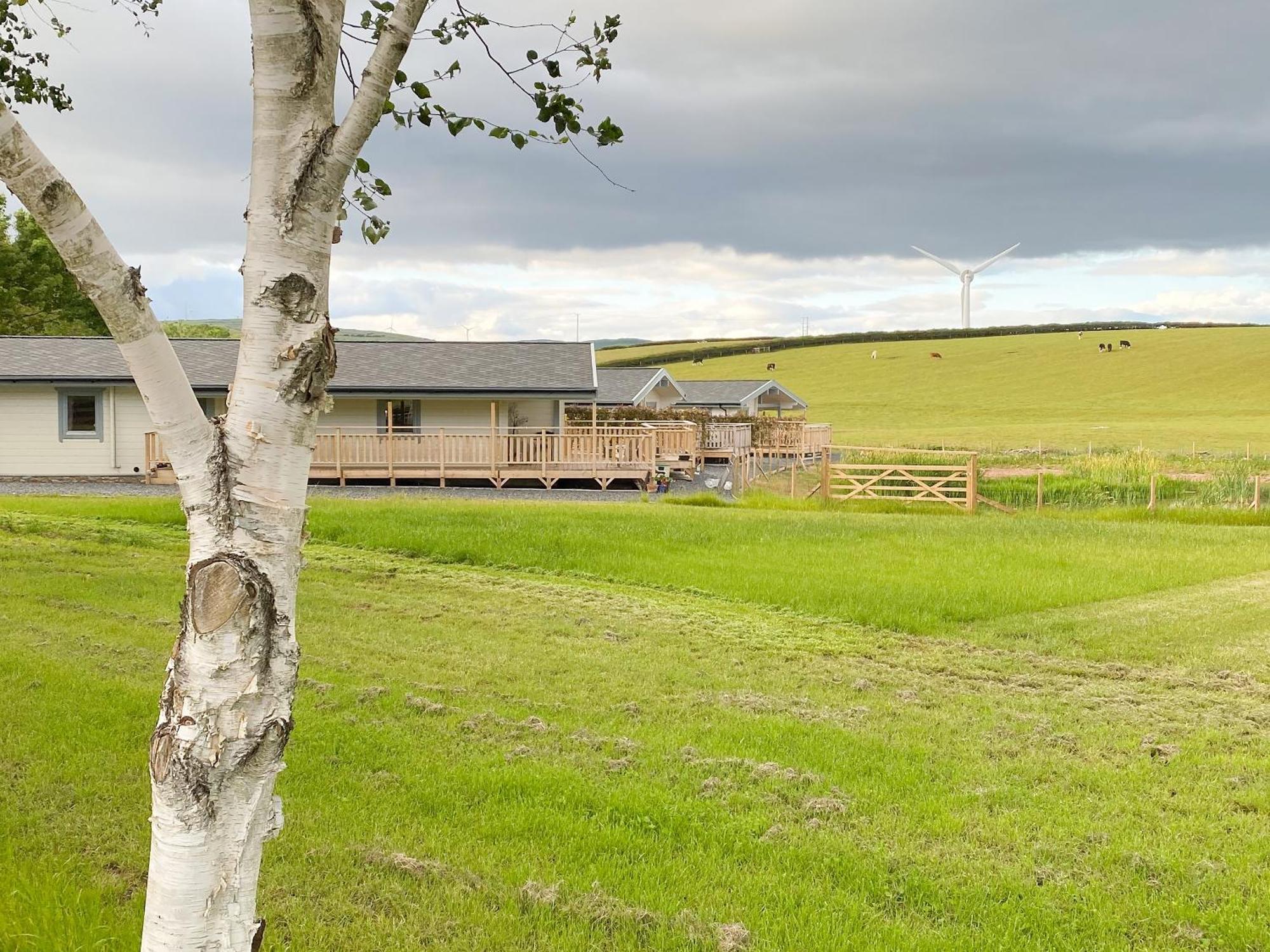 Pine Lodge - Uk30007 Lindal in Furness ภายนอก รูปภาพ